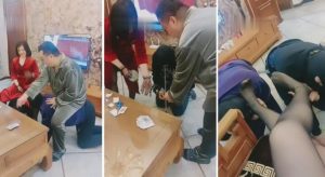 【羽诺】双狗奴竞争做私奴-97LZTD-83507172