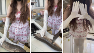 白丝按摩，杀鱼，素人粉衣女生处决大鱼 YC-250906-7-97LZTD-146494